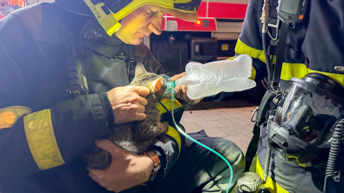 Fotky z nočního zásahu: Hasiči zachránili 17 lidí, nadýchat kyslík dostala i kočka